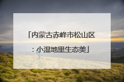 内蒙古赤峰市松山区：小湿地里生态美