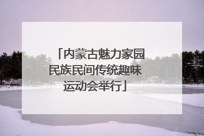 内蒙古魅力家园民族民间传统趣味运动会举行