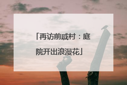 再访前戚村：庭院开出浪漫花