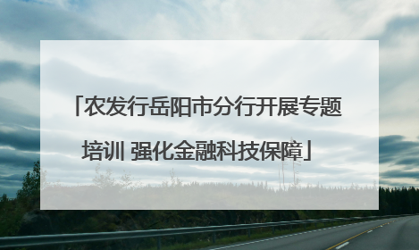 农发行岳阳市分行开展专题培训 强化金融科技保障