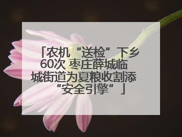 农机“送检”下乡60次 枣庄薛城临城街道为夏粮收割添“安全引擎”