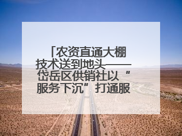 农资直通大棚 技术送到地头——岱岳区供销社以“服务下沉”打通服务“三农”最后一公里