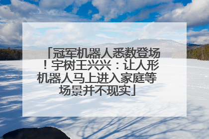 冠军机器人悉数登场！宇树王兴兴：让人形机器人马上进入家庭等场景并不现实