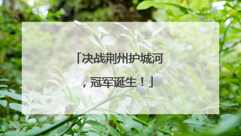 决战荆州护城河，冠军诞生！