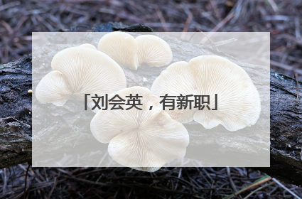 刘会英，有新职