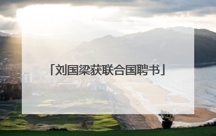 刘国梁获联合国聘书