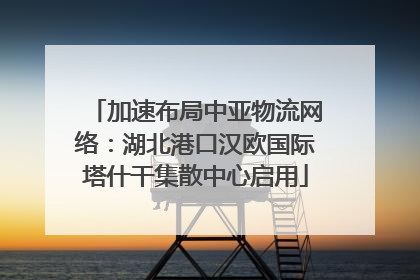 加速布局中亚物流网络：湖北港口汉欧国际塔什干集散中心启用