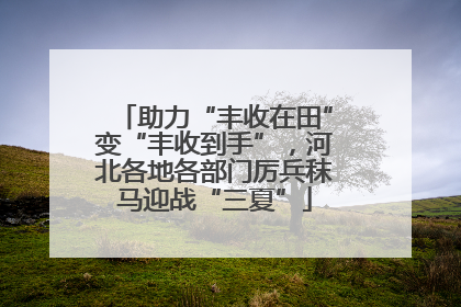 助力“丰收在田”变“丰收到手”，河北各地各部门厉兵秣马迎战“三夏”