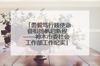勇毅笃行践使命 奋楫扬帆启新程——神木市委社会工作部工作纪实