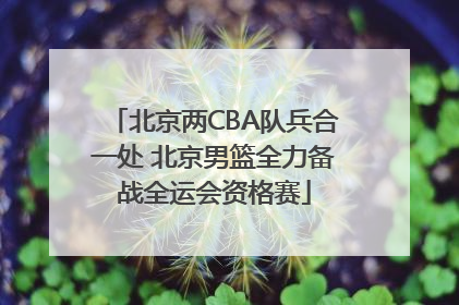 北京两CBA队兵合一处 北京男篮全力备战全运会资格赛