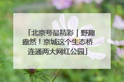 北京号最精彩｜野趣盎然！京城这个生态桥连通两大网红公园