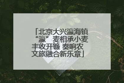 北京大兴瀛海镇“瀛”麦相承小麦丰收开镰 奏响农文旅融合新乐章