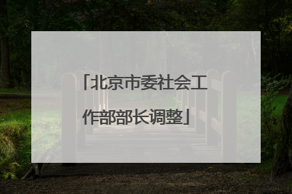 北京市委社会工作部部长调整
