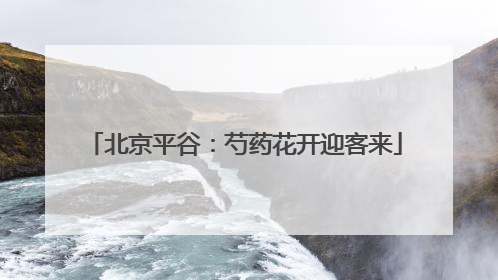 北京平谷：芍药花开迎客来