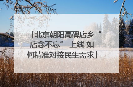 北京朝阳高碑店乡“店念不忘” 上线 如何精准对接民生需求