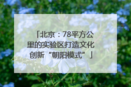 北京：78平方公里的实验区打造文化创新“朝阳模式”