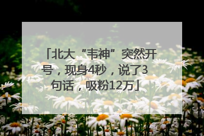 北大“韦神”突然开号，现身4秒，说了3句话，吸粉12万
