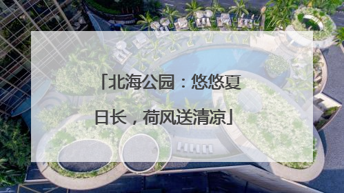 北海公园：悠悠夏日长，荷风送清凉
