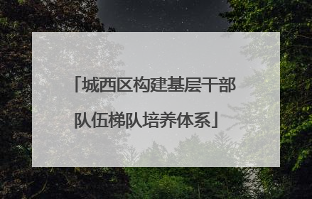 城西区构建基层干部队伍梯队培养体系