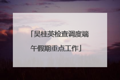 吴桂英检查调度端午假期重点工作