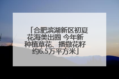 合肥滨湖新区初夏花海美出圈 今年新种植草花、播撒花籽约6.5万平方米