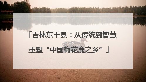 吉林东丰县：从传统到智慧重塑“中国梅花鹿之乡”