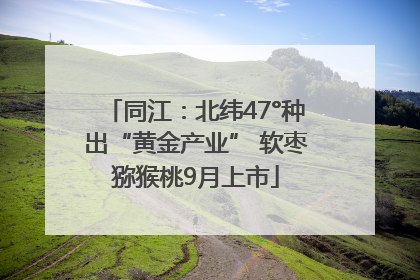 同江：北纬47°种出“黄金产业” 软枣猕猴桃9月上市