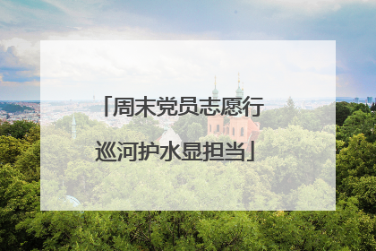 周末党员志愿行 巡河护水显担当