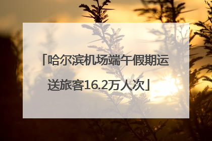 哈尔滨机场端午假期运送旅客16.2万人次