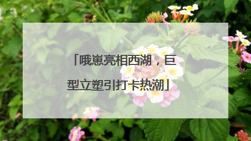 哦崽亮相西湖，巨型立塑引打卡热潮