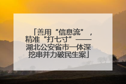 善用“信息流”，精准“打七寸”——湖北公安省市一体深挖串并力破民生案