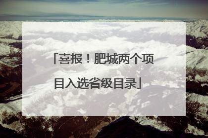 喜报！肥城两个项目入选省级目录