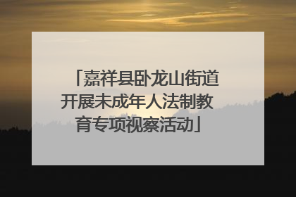 嘉祥县卧龙山街道开展未成年人法制教育专项视察活动