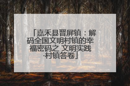嘉禾县晋屏镇：解码全国文明村镇的幸福密码之 文明实践·村镇答卷