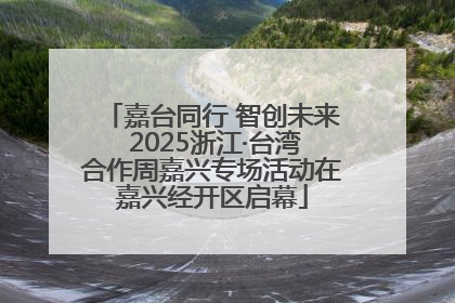 嘉台同行 智创未来 2025浙江·台湾合作周嘉兴专场活动在嘉兴经开区启幕