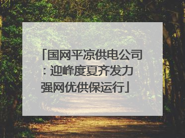国网平凉供电公司：迎峰度夏齐发力 强网优供保运行