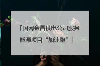 国网金昌供电公司服务能源项目“加速跑”