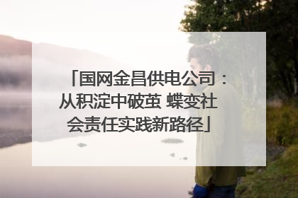 国网金昌供电公司：从积淀中破茧 蝶变社会责任实践新路径