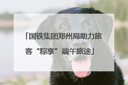 国铁集团郑州局助力旅客“粽享”端午旅途