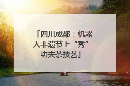 四川成都：机器人非遗节上“秀”功夫茶技艺