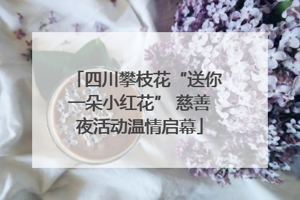 四川攀枝花“送你一朵小红花” 慈善夜活动温情启幕