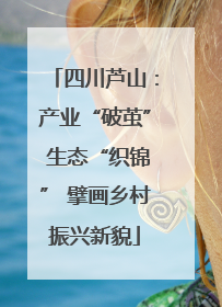 四川芦山:产业“破茧” 生态“织锦” 擘画乡村振兴新貌