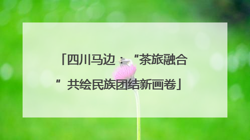四川马边：“茶旅融合”共绘民族团结新画卷