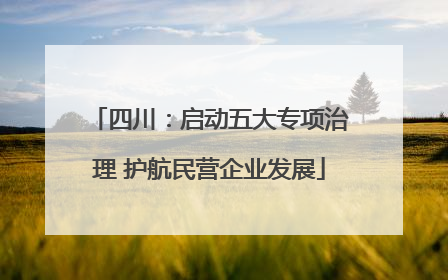 四川：启动五大专项治理 护航民营企业发展