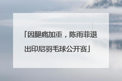因腿痛加重，陈雨菲退出印尼羽毛球公开赛