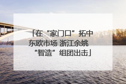在“家门口”拓中东欧市场 浙江余姚“智造”组团出击