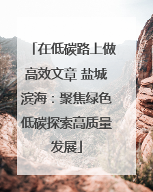 在低碳路上做高效文章 盐城滨海：聚焦绿色低碳探索高质量发展