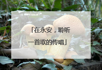 在永安，聆听一首歌的传唱