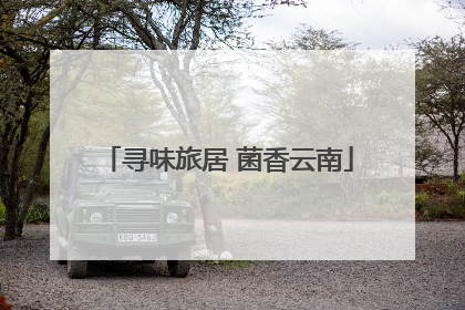 寻味旅居 菌香云南