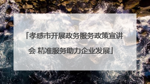 孝感市开展政务服务政策宣讲会 精准服务助力企业发展